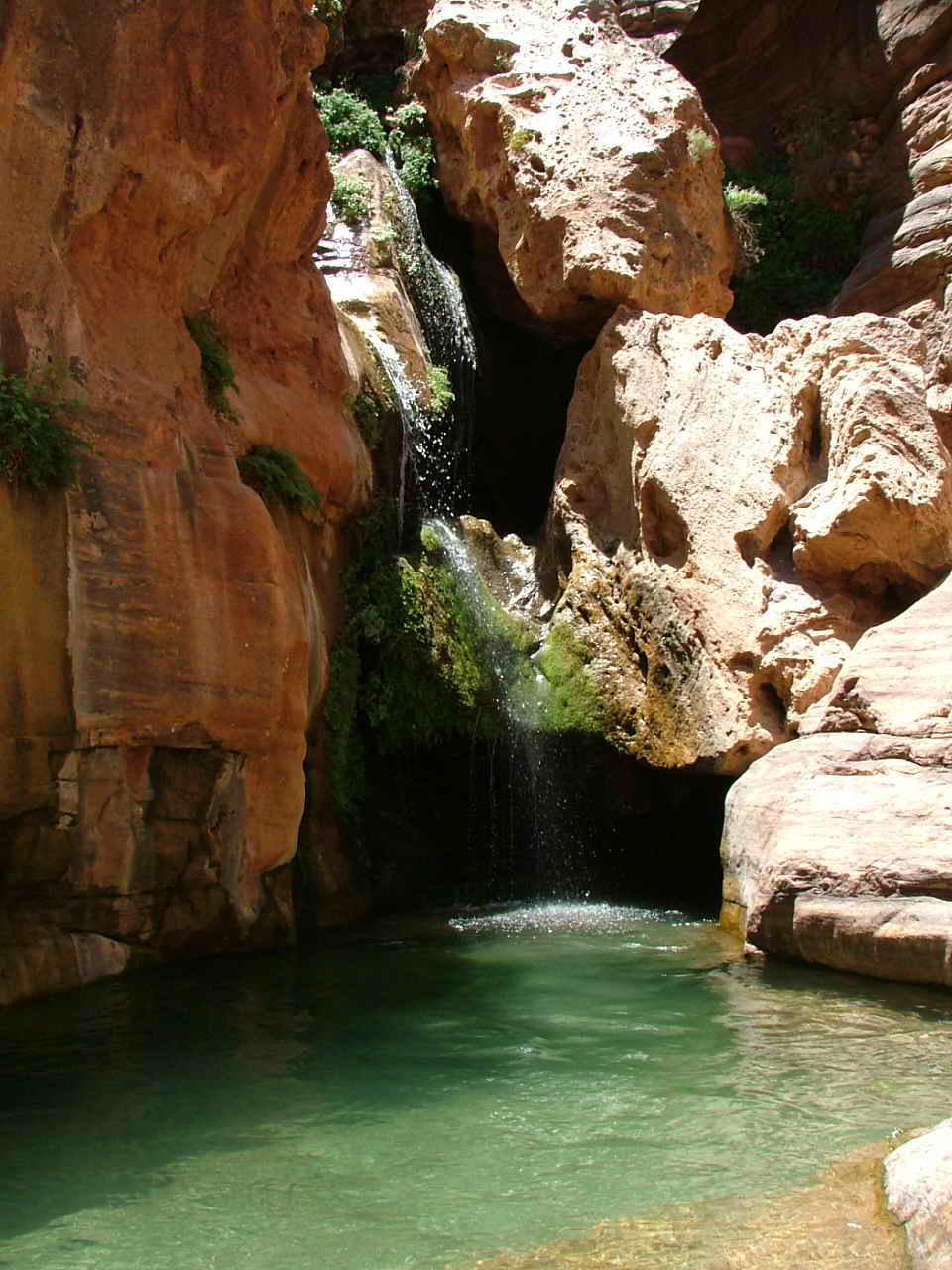 dh000080.jpg