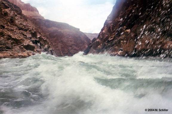 Img9.jpg