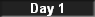 Day 1