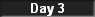 Day 3